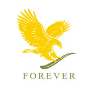 شیراز فوراور